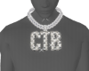 CTB Custom(M)