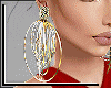 Gold Rings Earrings
