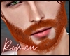 🧡 Full Beard Add On