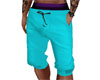 Turquoise Beach Shorts