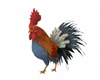 My Rooster
