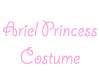 Ariel Princess Costume