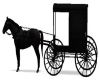 Amish Horse & Buggy