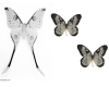 [ML]butterflies