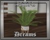 Concept Plant