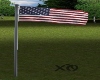 American Flag Animated