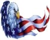 Eagle flag sticker