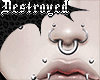 high nostril piercings