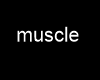 [Z] Muscle M