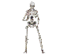 Funny Dancing Skeleton