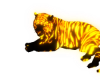 [Mae]Tiger Orange w Pose