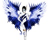 ~jr~Amazon Blue Wings