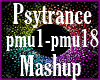 Psytrance Mashup Remix