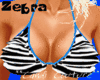 **Zebra Candi**