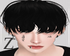 Z Hair Black Ji