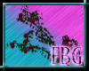 *FBG* Roses Pink/Red