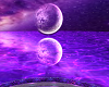 `LF` PURPLE ROOM