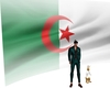 algeria  flag animated