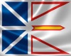 Newfoundland Animated
