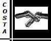 Dual Pistols w/holster