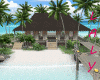 Coconut Island