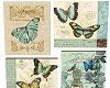 Teal Vintage Butterflies
