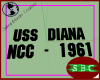 USS Diana Hull Plating
