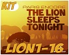 KIt The Lion Sleeps Toni