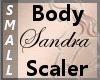 Body Scaler Sandra S