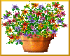 Fall Flower arrangement