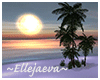 Island Sunset Dream