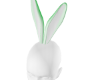 KY Bunny ears Green