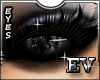 EV Vision Eyes