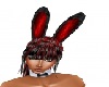 red.black bunny ears