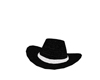 [AED] Cowboy black hat