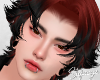 S. Mobo Aurburn ll