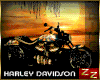 zZ Harley Davidson Gold