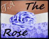 TA`Shy`s Blue Rose