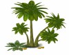Banana Tree # 2