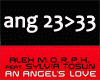 An Angel's Love 3/4 Mix