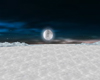 Winter Under The Moon