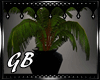 [GB]potted palms\plants