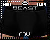 Beast Briefs