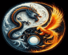6v3| Dragon & Phoenix
