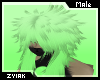 Z; Benjamin Hair M V2