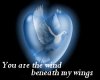 Wind beneath my wings