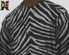 Iconic Zebra ⚓