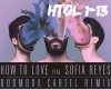 Cash Cash: How to Love
