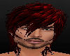 *Snow* Red Krish
