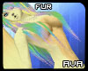 [AVA] Willow Fur F